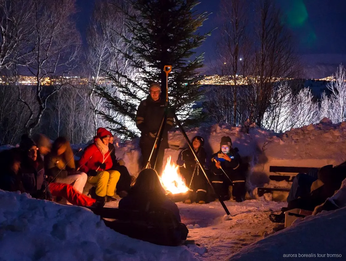 Crias de husky no acampamento apresentado no tour de aurora boreal de Tromso