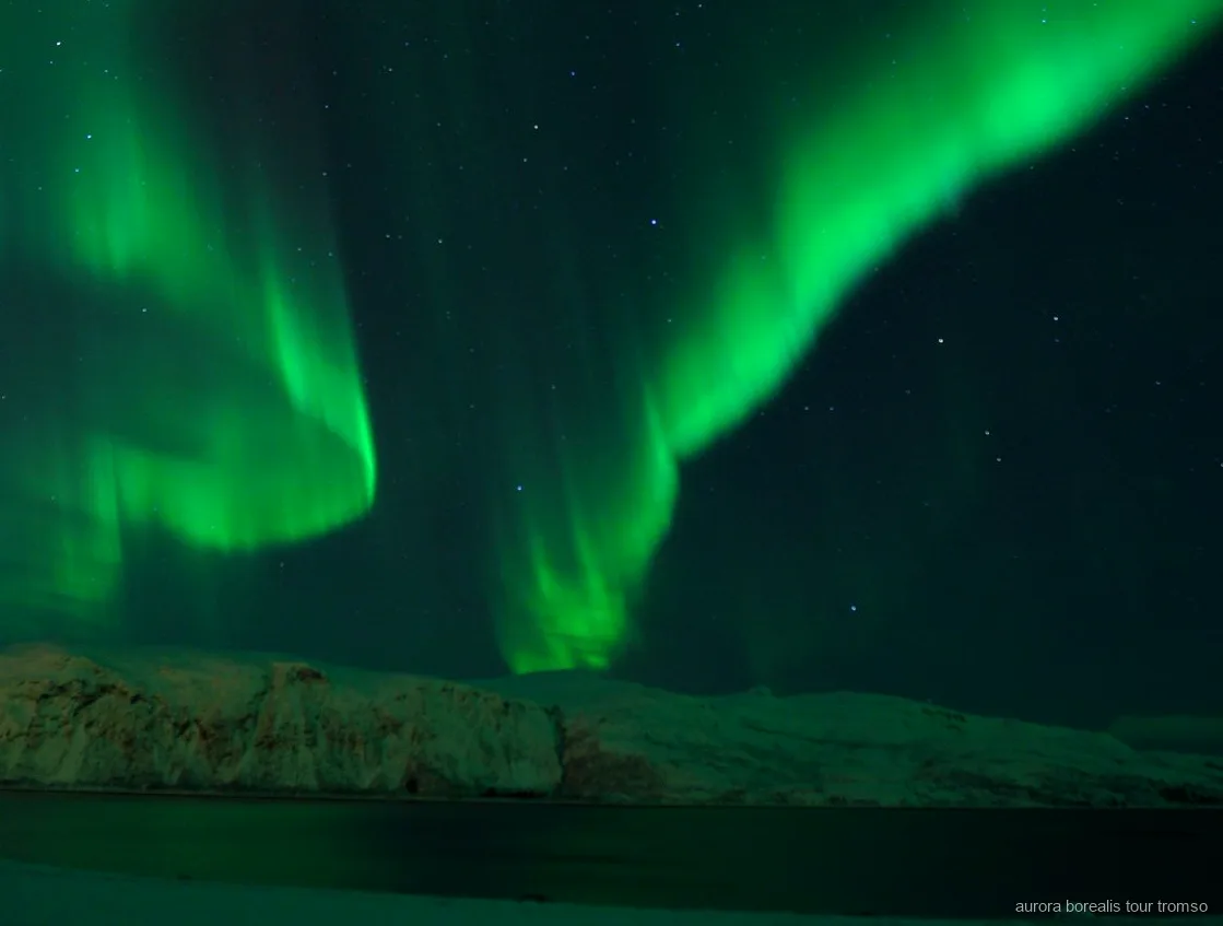 Chamallows grillés sur le feu lors de l'excursion aurore boréale avec dîner de Tromsø
