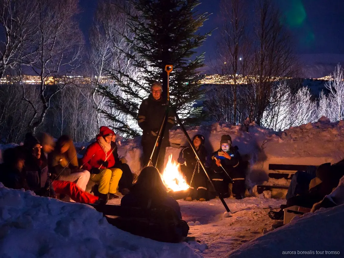 Chiots husky au camp présenté sur l'excursion aurore boréale de Tromsø