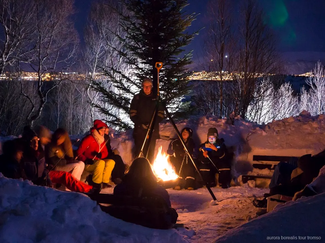 Cuccioli di husky al campo protagonisti dell'escursione per l'aurora boreale a Tromsø