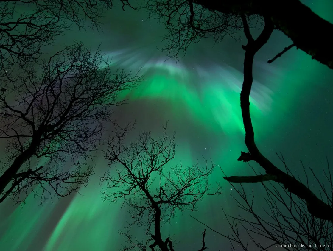 Guía tomando un retrato profesional bajo la aurora boreal cerca de Tromsø