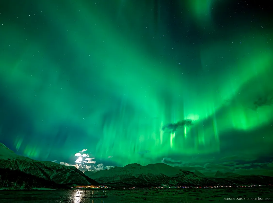 Ritratto scattato sotto l'aurora boreale durante l'escursione familiare in minibus a Tromsø