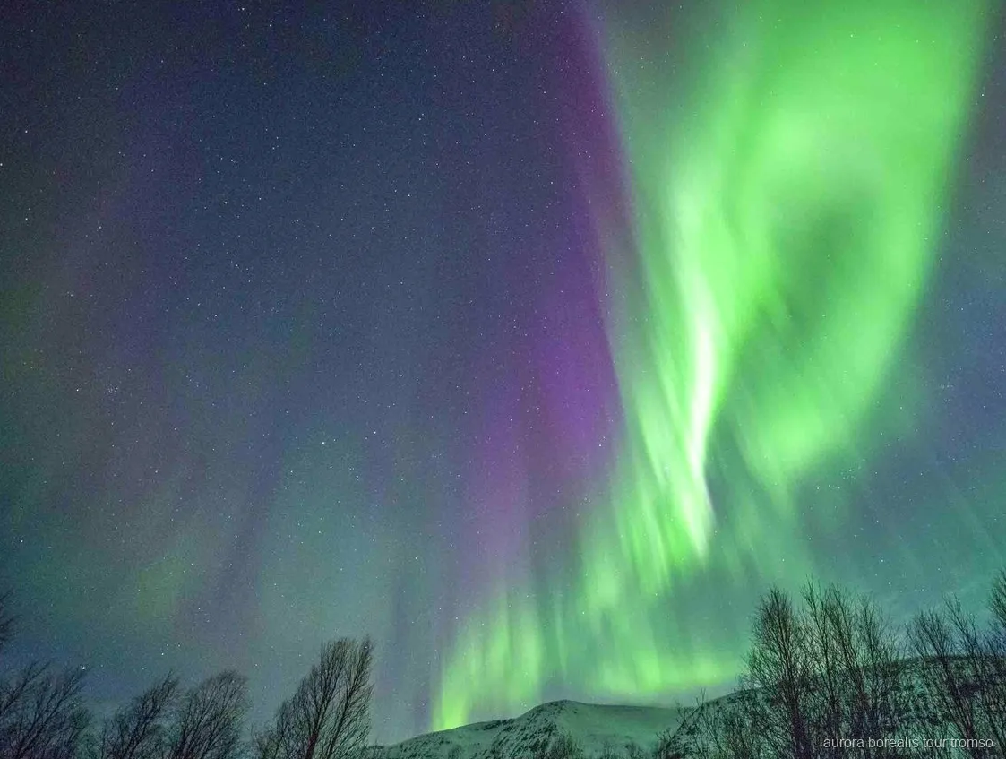 Gæster nyder en varm middag om bålet på Tromsøs nordlys middagstur