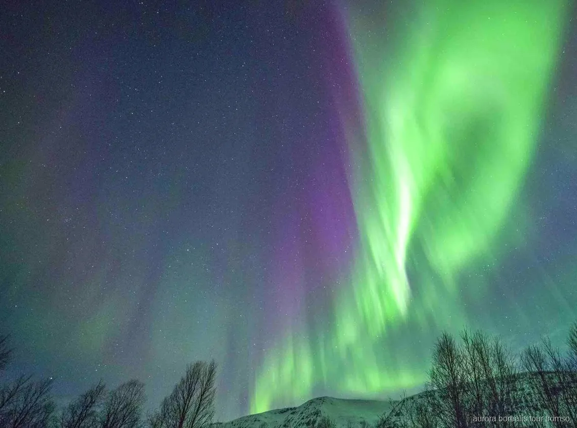 Gäste genießen ein warmes Dinner am Lagerfeuer auf der Tromsø Nordlichter-Dinner-Tour