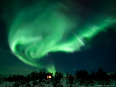 Traditionel lavvo brugt ved Tromsøs husky-lejr nordlystur