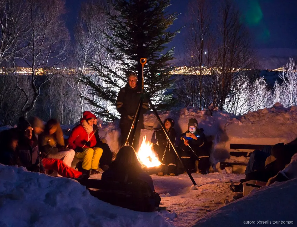 Huskyvalpar vid gården på Tromsø norrskentur
