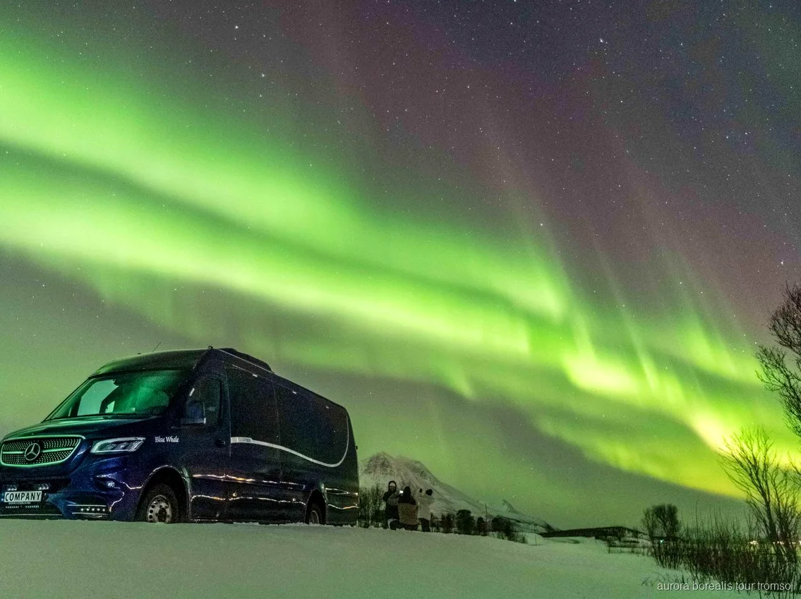 Gasten in thermopakken wachten op het noorderlicht nabij Tromso