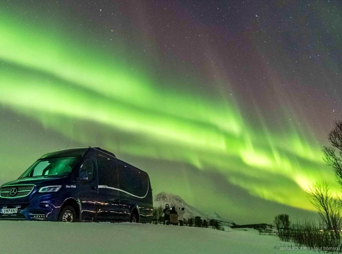 Gäste in Thermoanzügen warten auf die Nordlichter nahe Tromsø
