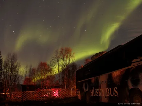 Tromso husky kampında servis edilen sıcak bacalao akşam yemeği
