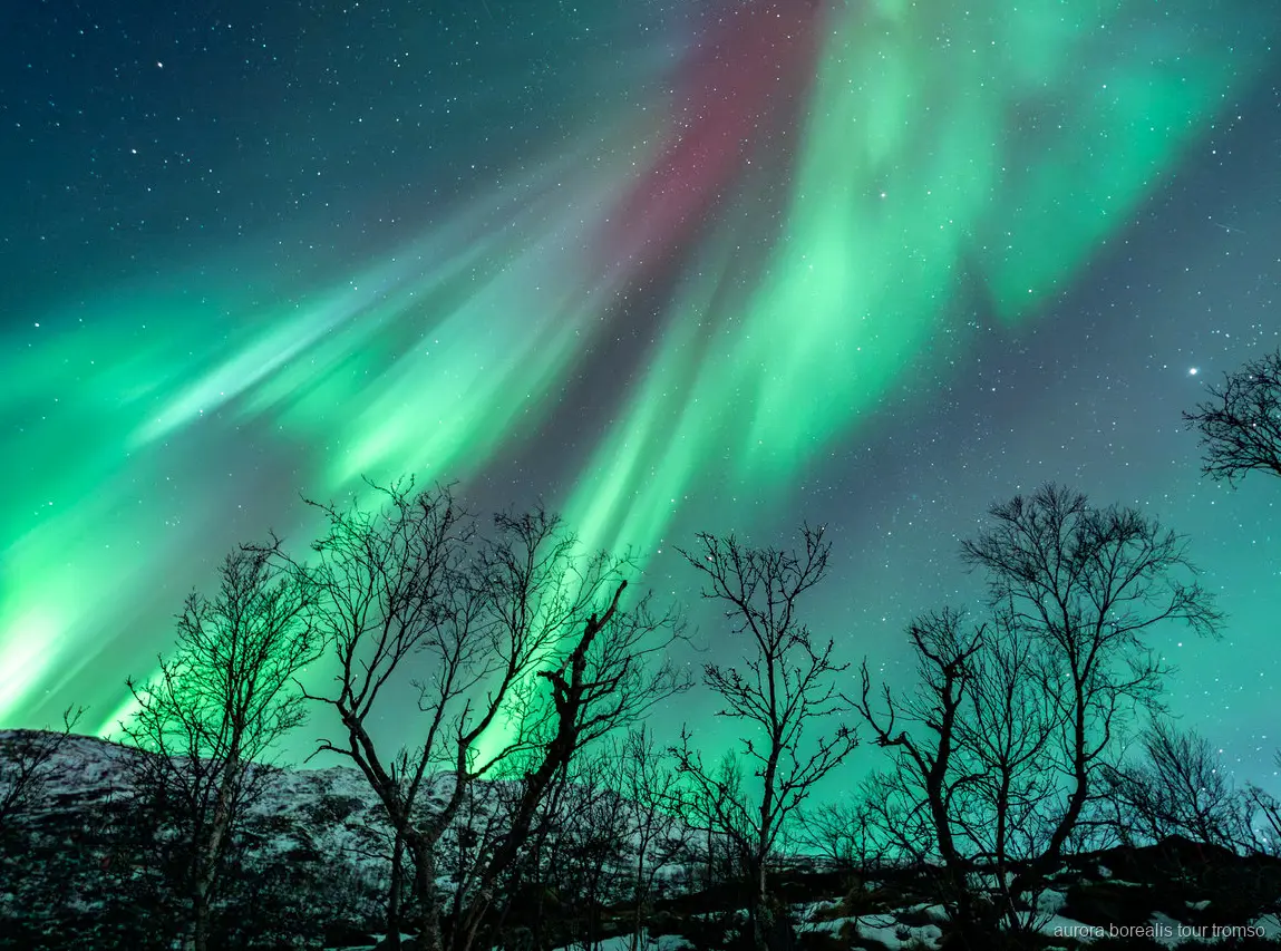 Gasten fotograferen het noorderlicht met begeleiding van de gids bij Tromso