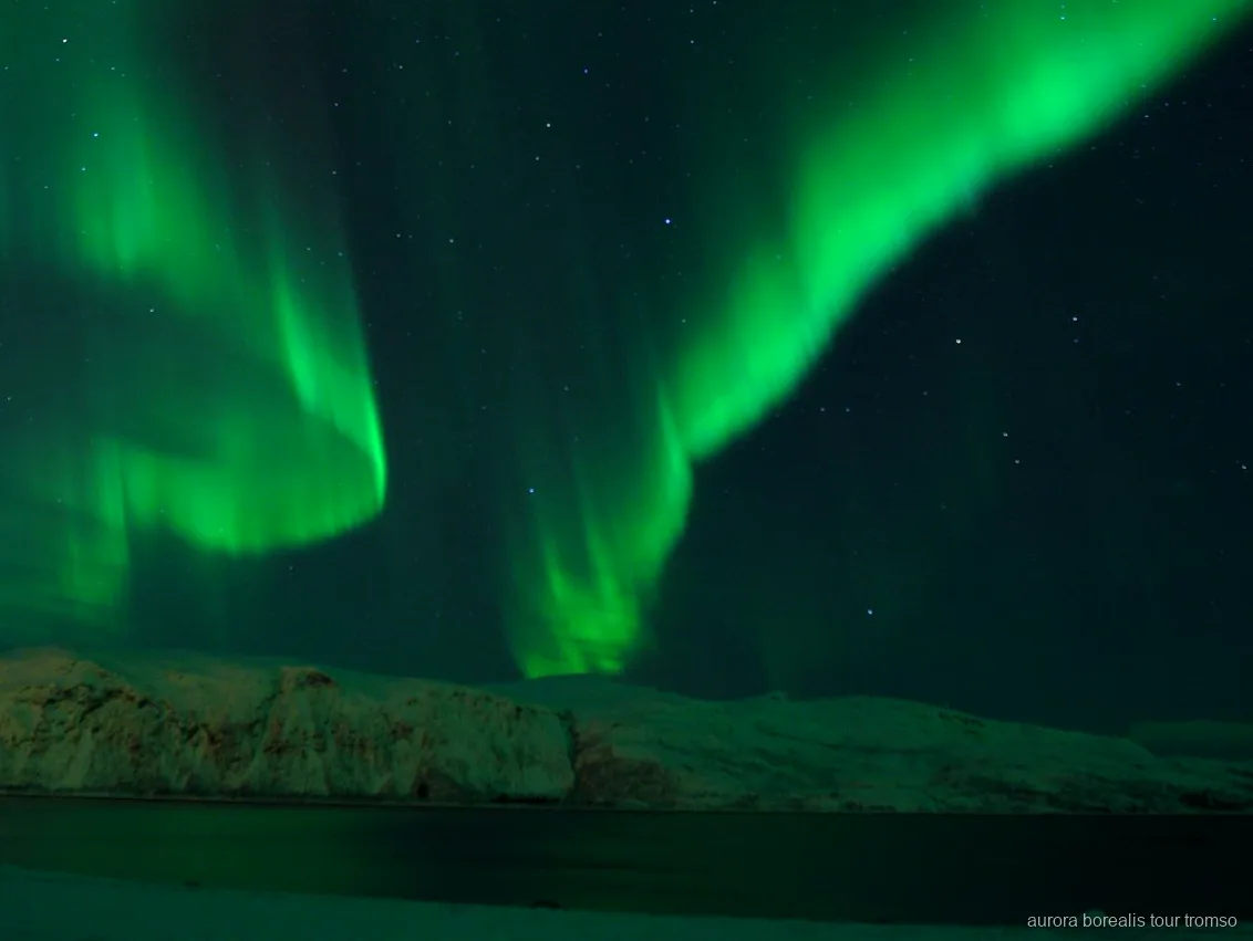 Marshmallows a tostar junto à fogueira no tour de aurora boreal com jantar em Tromso