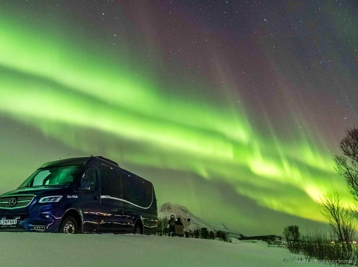 Gäster i termodräkter väntar på norrskenet nära Tromsö