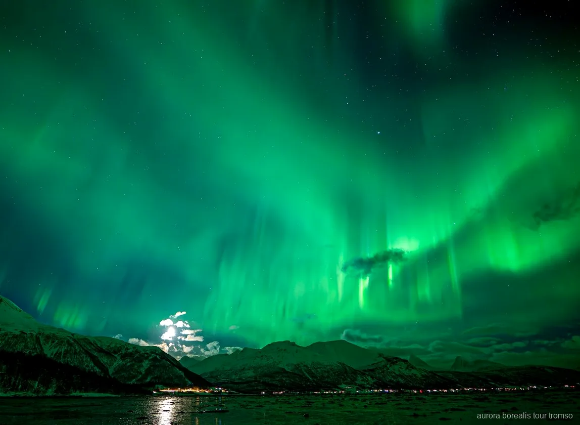Retrato feito sob a aurora boreal no tour familiar em carrinha em Tromso
