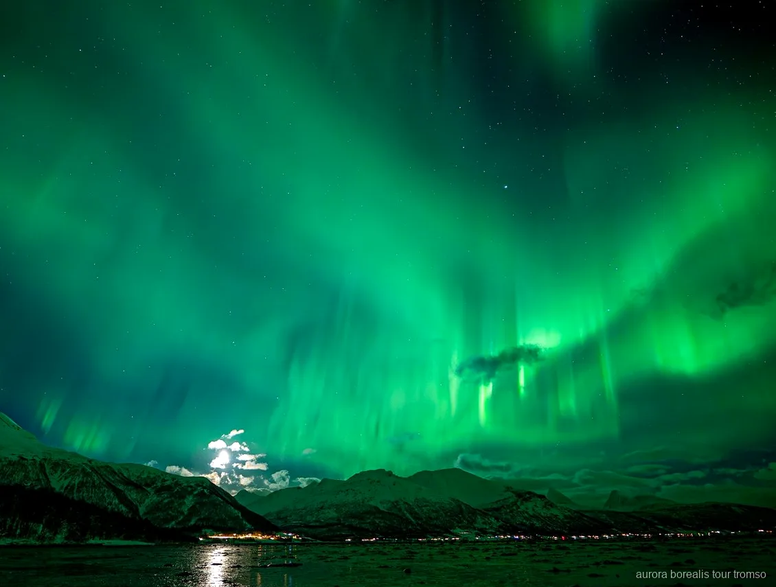 Retrato tomado bajo la aurora boreal en el tour familiar de Tromsø