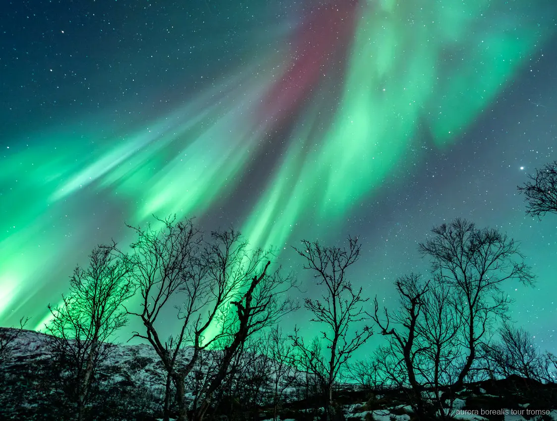 Huéspedes fotografiando la aurora boreal con la ayuda de un guía cerca de Tromsø