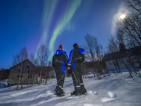 Aurora borealis seen from the basecamp on the Tromso glass bus tour