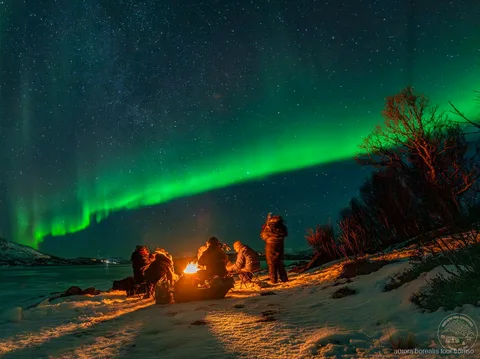 Statyw ustawiony do fotografowania zorzy polarnej w pobliżu Tromso